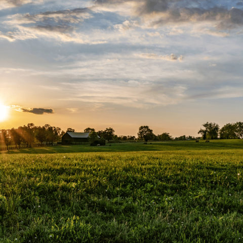 Optimizing Victoria’s Agricultural Workforce
