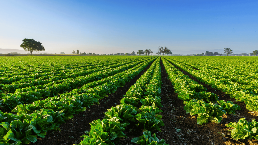 Adapting to Seasonal Workforce Needs in Australia