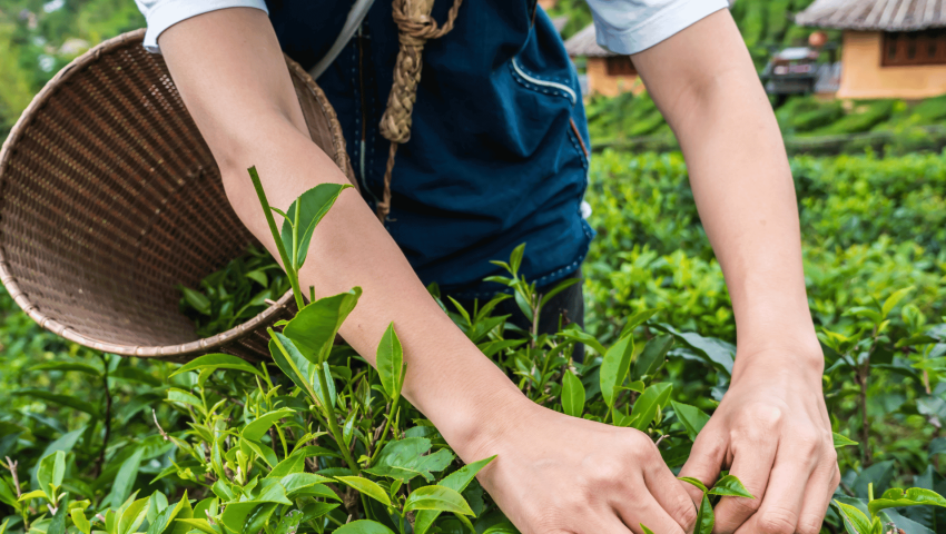 Ensuring Cultural Integration for Overseas Workers