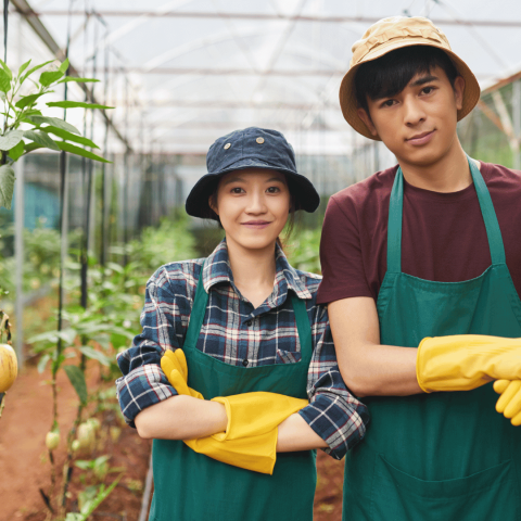 Maximizing Opportunities for Working Holiday Visa Holders in Agriculture