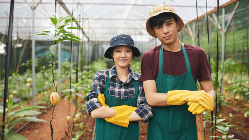 Maximizing Opportunities for Working Holiday Visa Holders in Agriculture