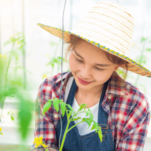 How to Ensure Visa Compliance for Agricultural Workers