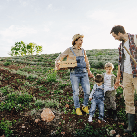 Ethical Recruitment Practices in Agriculture