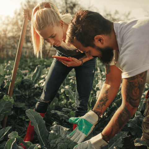 Navigating Labor Challenges in New South Wales