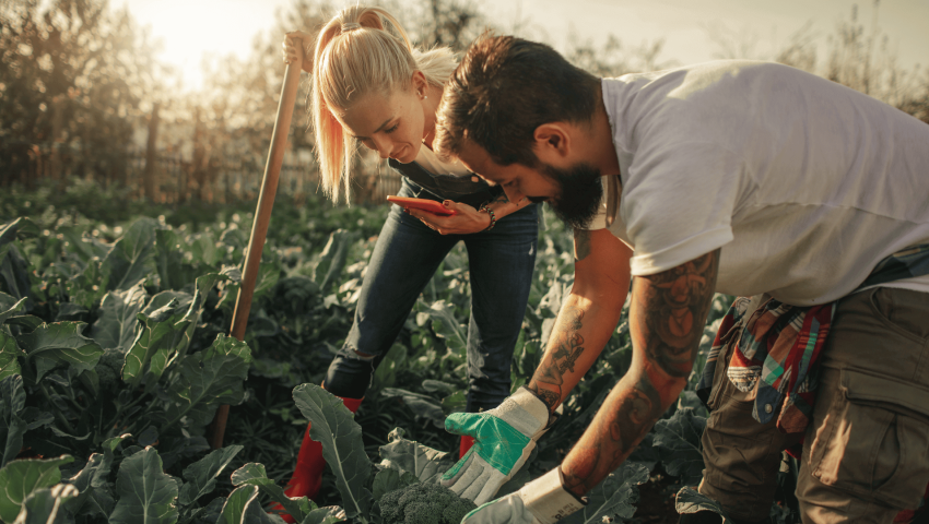 Navigating Labor Challenges in New South Wales