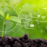 How to Ensure Visa Compliance for Agricultural Workers