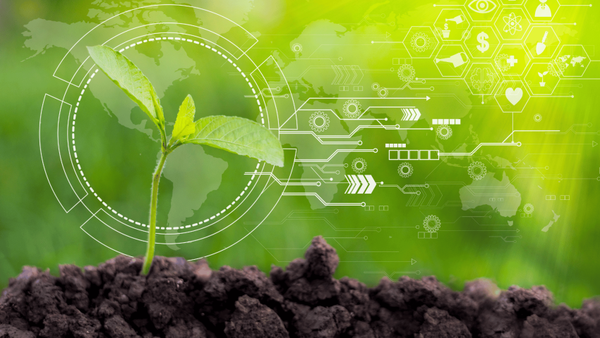 How to Ensure Visa Compliance for Agricultural Workers