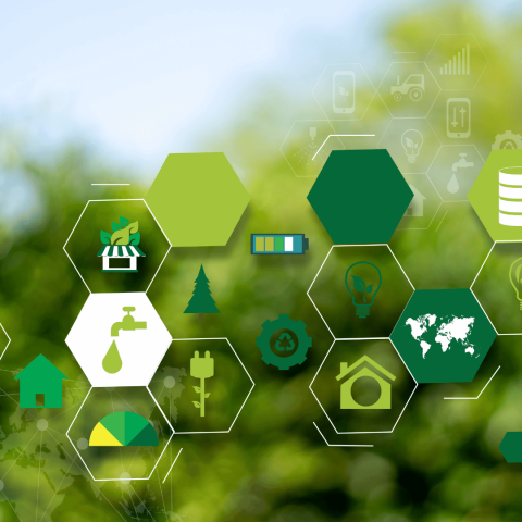 The Importance of Farm Safety Standards for Overseas Workers