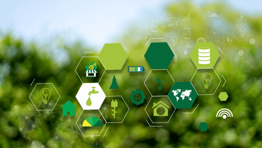 The Importance of Farm Safety Standards for Overseas Workers