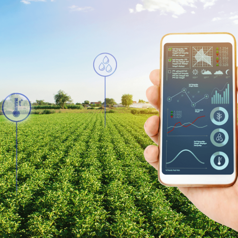 Leveraging Technology to Improve Farm Operations