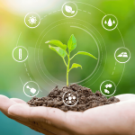 The Future of Agriculture: Innovation and Labor