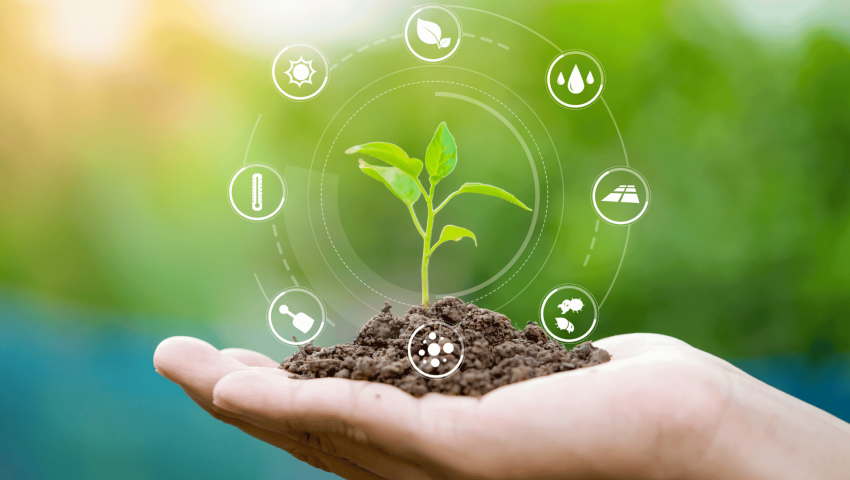 The Future of Agriculture: Innovation and Labor