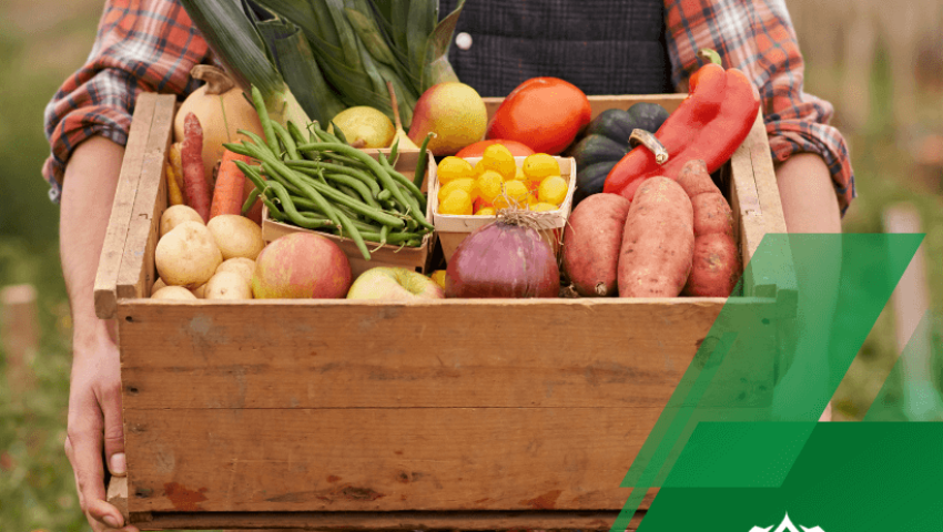 Farm Labor Supply